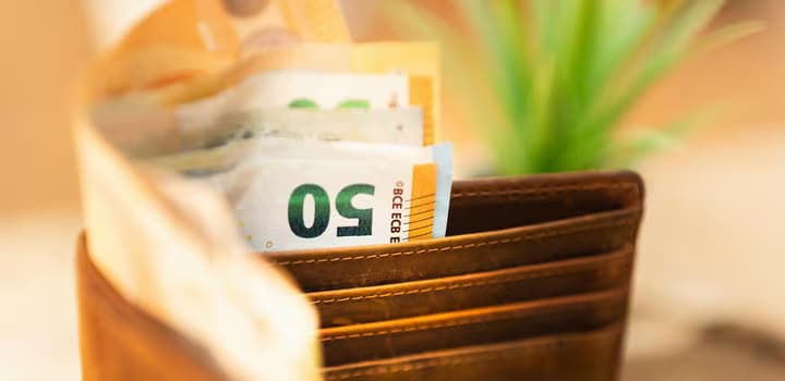 Wallet with Euro Currency Notes and Plant